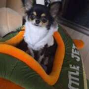 ヒメ日記 2025/12/16 20:19 投稿 おひめ IRIS一宮