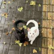 ヒメ日記 2025/12/21 17:18 投稿 おひめ IRIS一宮