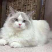 ヒメ日記 2025/12/25 20:18 投稿 おひめ IRIS一宮