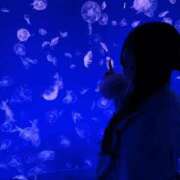 ヒメ日記 2025/12/28 20:11 投稿 おひめ IRIS一宮