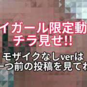 ヒメ日記 2025/12/29 19:28 投稿 おひめ IRIS一宮