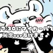 ヒメ日記 2026/01/08 17:03 投稿 おひめ IRIS一宮