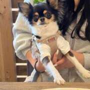 ヒメ日記 2026/01/12 13:33 投稿 おひめ IRIS一宮