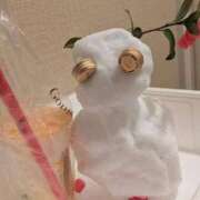 ヒメ日記 2026/01/12 19:33 投稿 おひめ IRIS一宮