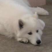 ヒメ日記 2026/01/22 20:13 投稿 おひめ IRIS一宮