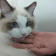 ヒメ日記 2026/01/26 18:18 投稿 おひめ IRIS一宮