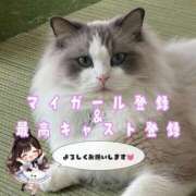 ヒメ日記 2026/04/13 15:02 投稿 おひめ IRIS一宮