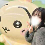 ヒメ日記 2025/01/25 16:02 投稿 ももな シャングリラ