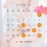 ヒメ日記 2025/02/23 12:31 投稿 ももな シャングリラ