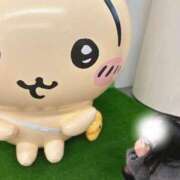 ヒメ日記 2025/05/12 12:31 投稿 ももな シャングリラ