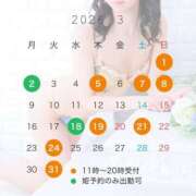 ヒメ日記 2026/02/24 12:32 投稿 ももな シャングリラ