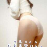 ヒメ日記 2025/01/13 00:16 投稿 松沢(まつざわ) 人妻出逢い会 百合の園 品川店