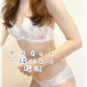 ヒメ日記 2025/04/25 07:26 投稿 松沢(まつざわ) 人妻出逢い会 百合の園 品川店