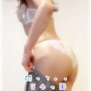 ヒメ日記 2025/05/02 08:06 投稿 松沢(まつざわ) 人妻出逢い会 百合の園 品川店