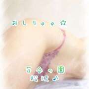 ヒメ日記 2025/07/29 08:16 投稿 松沢(まつざわ) 人妻出逢い会 百合の園 品川店