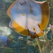 ヒメ日記 2026/06/12 10:55 投稿 まな ビデオDEはんど 名古屋校