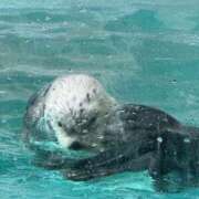 ヒメ日記 2026/06/14 18:55 投稿 まな ビデオDEはんど 名古屋校