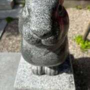 ヒメ日記 2026/06/19 11:25 投稿 まな ビデオDEはんど 名古屋校