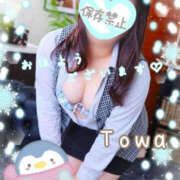 ヒメ日記 2025/01/12 08:05 投稿 とわ BAD COMPANY（バッドカンパニー）