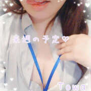 ヒメ日記 2025/01/24 22:06 投稿 とわ BAD COMPANY（バッドカンパニー）