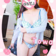 ヒメ日記 2025/02/08 22:25 投稿 とわ BAD COMPANY（バッドカンパニー）