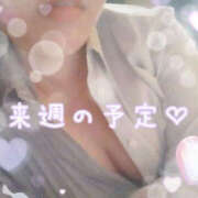 ヒメ日記 2025/03/01 10:06 投稿 とわ BAD COMPANY（バッドカンパニー）