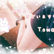 ヒメ日記 2025/03/08 08:03 投稿 とわ BAD COMPANY（バッドカンパニー）