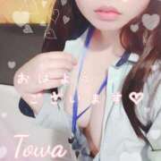 ヒメ日記 2025/04/14 07:19 投稿 とわ BAD COMPANY（バッドカンパニー）