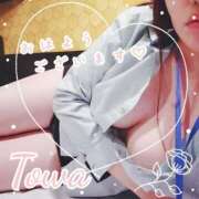 ヒメ日記 2025/04/16 07:33 投稿 とわ BAD COMPANY（バッドカンパニー）