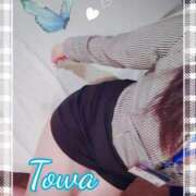 ヒメ日記 2025/04/16 10:56 投稿 とわ BAD COMPANY（バッドカンパニー）