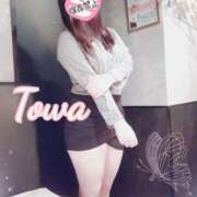 ヒメ日記 2025/04/24 15:30 投稿 とわ BAD COMPANY（バッドカンパニー）