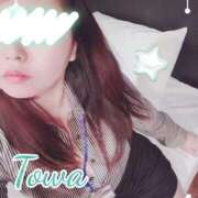 ヒメ日記 2025/04/26 12:42 投稿 とわ BAD COMPANY（バッドカンパニー）