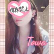 ヒメ日記 2025/05/30 23:03 投稿 とわ BAD COMPANY（バッドカンパニー）