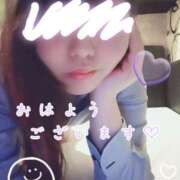 ヒメ日記 2025/06/01 08:45 投稿 とわ BAD COMPANY（バッドカンパニー）