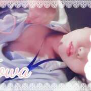 ヒメ日記 2025/06/07 13:27 投稿 とわ BAD COMPANY（バッドカンパニー）