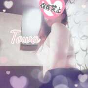 ヒメ日記 2025/07/06 19:01 投稿 とわ BAD COMPANY（バッドカンパニー）