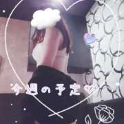 ヒメ日記 2025/07/15 22:31 投稿 とわ BAD COMPANY（バッドカンパニー）