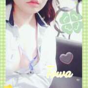 ヒメ日記 2025/08/06 16:30 投稿 とわ BAD COMPANY（バッドカンパニー）