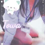 ヒメ日記 2025/08/22 22:20 投稿 とわ BAD COMPANY（バッドカンパニー）