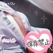 ヒメ日記 2025/11/06 20:31 投稿 とわ BAD COMPANY（バッドカンパニー）