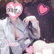 ヒメ日記 2025/11/09 20:04 投稿 とわ BAD COMPANY（バッドカンパニー）