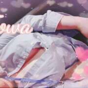 ヒメ日記 2025/11/24 21:15 投稿 とわ BAD COMPANY（バッドカンパニー）