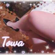 ヒメ日記 2025/11/24 22:28 投稿 とわ BAD COMPANY（バッドカンパニー）