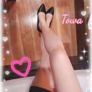 ヒメ日記 2025/11/27 20:34 投稿 とわ BAD COMPANY（バッドカンパニー）