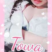 ヒメ日記 2025/12/07 19:38 投稿 とわ BAD COMPANY（バッドカンパニー）