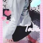 ヒメ日記 2025/12/17 20:11 投稿 とわ BAD COMPANY（バッドカンパニー）