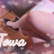 ヒメ日記 2026/01/14 19:52 投稿 とわ BAD COMPANY（バッドカンパニー）