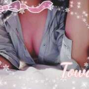 ヒメ日記 2026/01/17 07:45 投稿 とわ BAD COMPANY（バッドカンパニー）