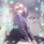 ヒメ日記 2026/01/24 16:01 投稿 とわ BAD COMPANY（バッドカンパニー）