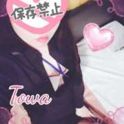 ヒメ日記 2026/02/14 14:15 投稿 とわ BAD COMPANY（バッドカンパニー）